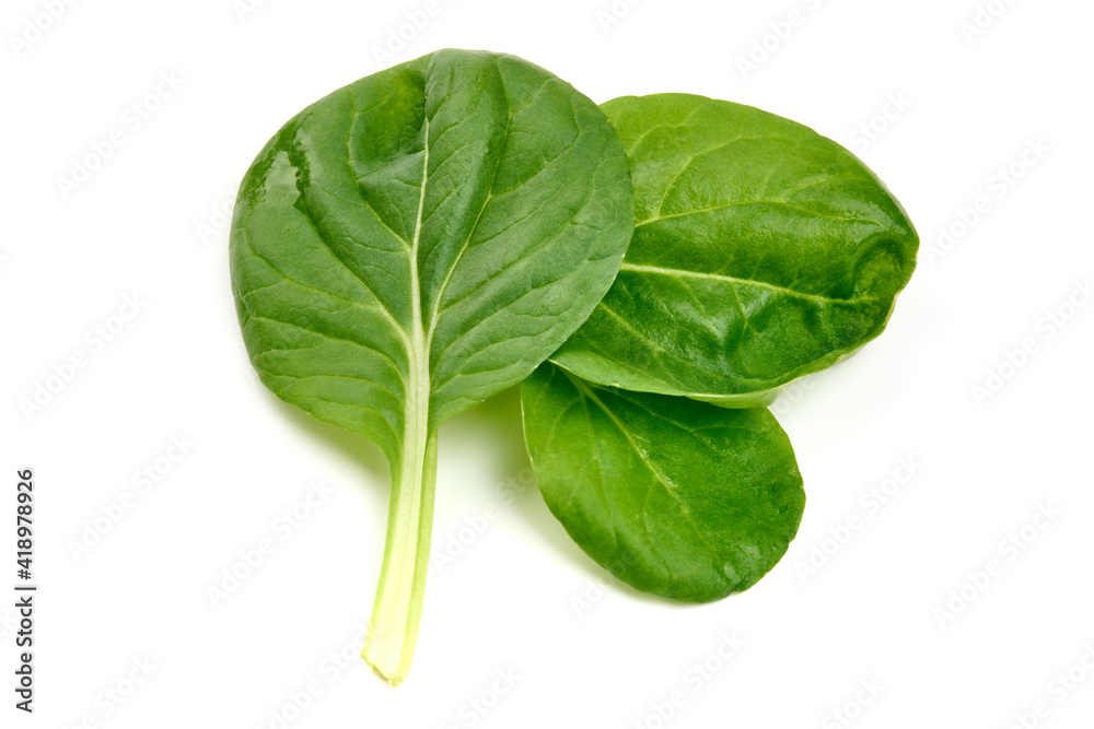 Spinach leaves, isolated on white background. High resolution image Spinach leaves, isolated on white background. High resolution image