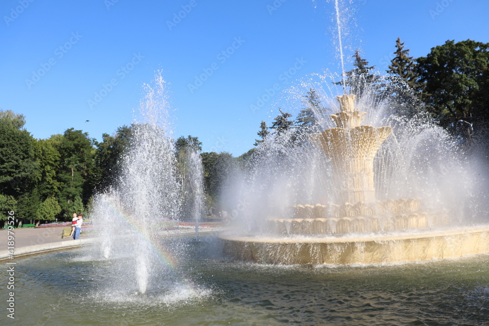 Fototapeta premium fountain in the park