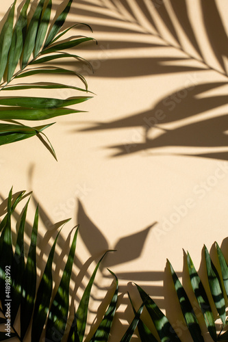 Fototapeta Naklejka Na Ścianę i Meble -  Stylish mock up of palm leaves and shadows