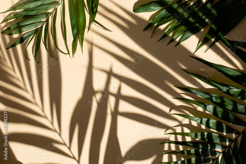 Abstract background of fresh palm leaves and shadows on the beige wall