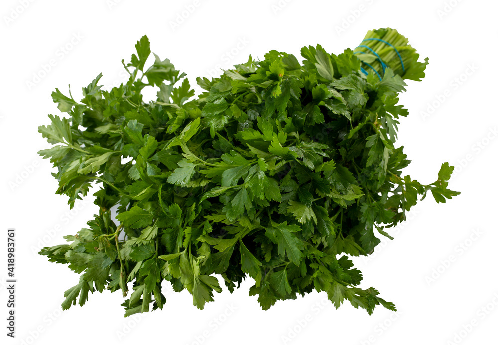 parsley isolated on a white background parsley isolated on a white background