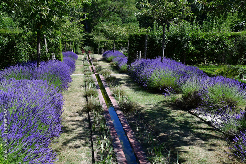 Poulaines; France - july 13 2020 : Poulaines estate photo