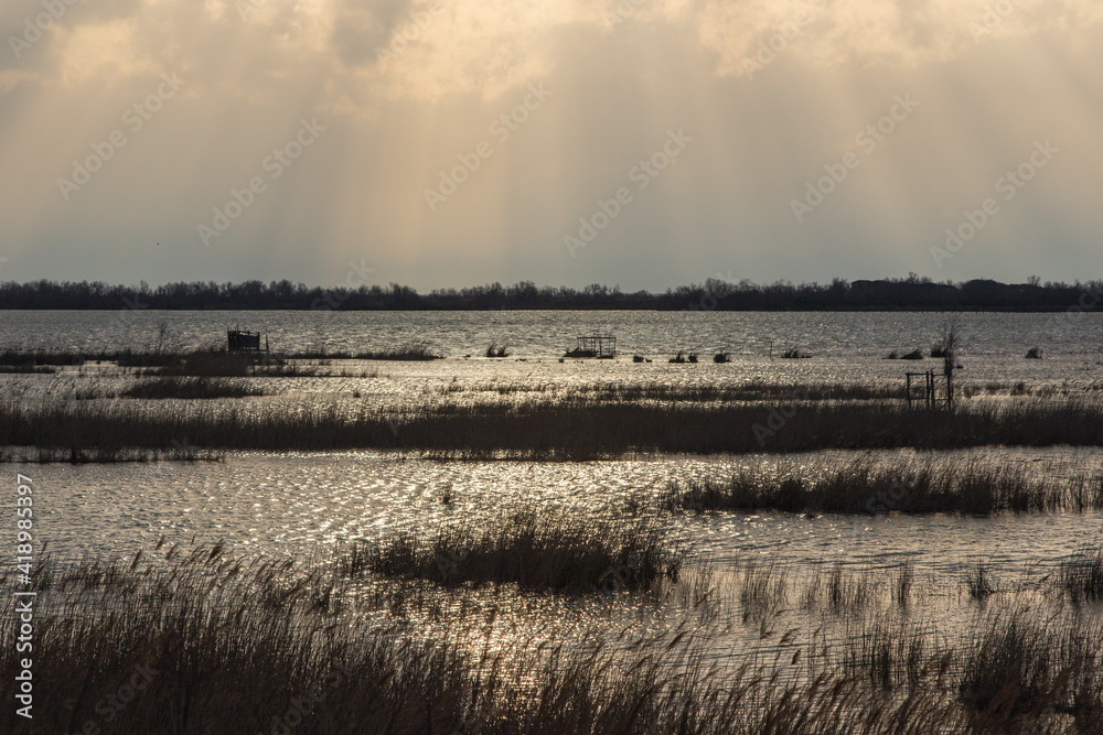 Matin en Camargue.