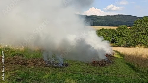 Ignition of dried grass in summer
