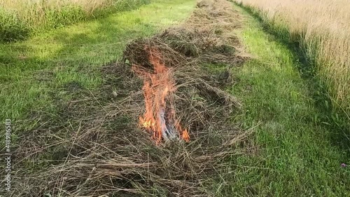 Ignition of dried grass in summer
