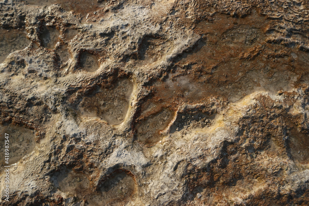 Pamukkale travertines texture. Travertine surface with a rusty coating. Thermal springs patterns.