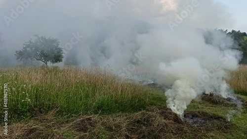 Ignition of dried grass in summer
