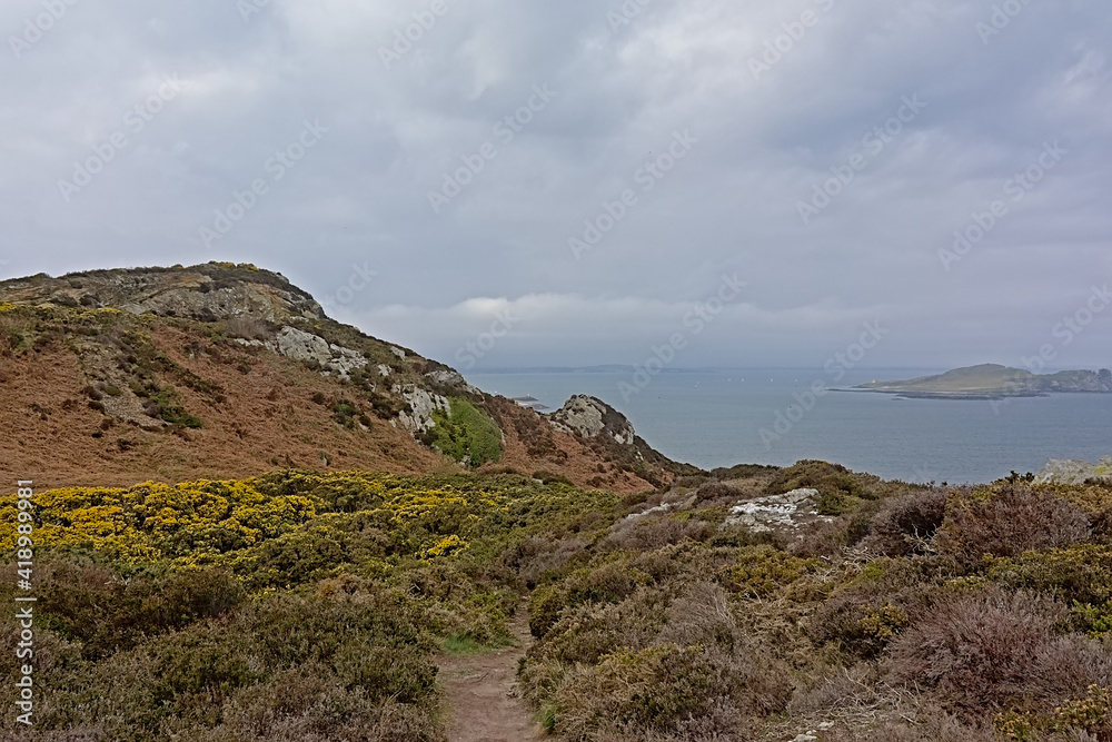 Rocky cliffs along the north sea coast of howth, ireland with hazy harbor in the background bushes on a cloudy day