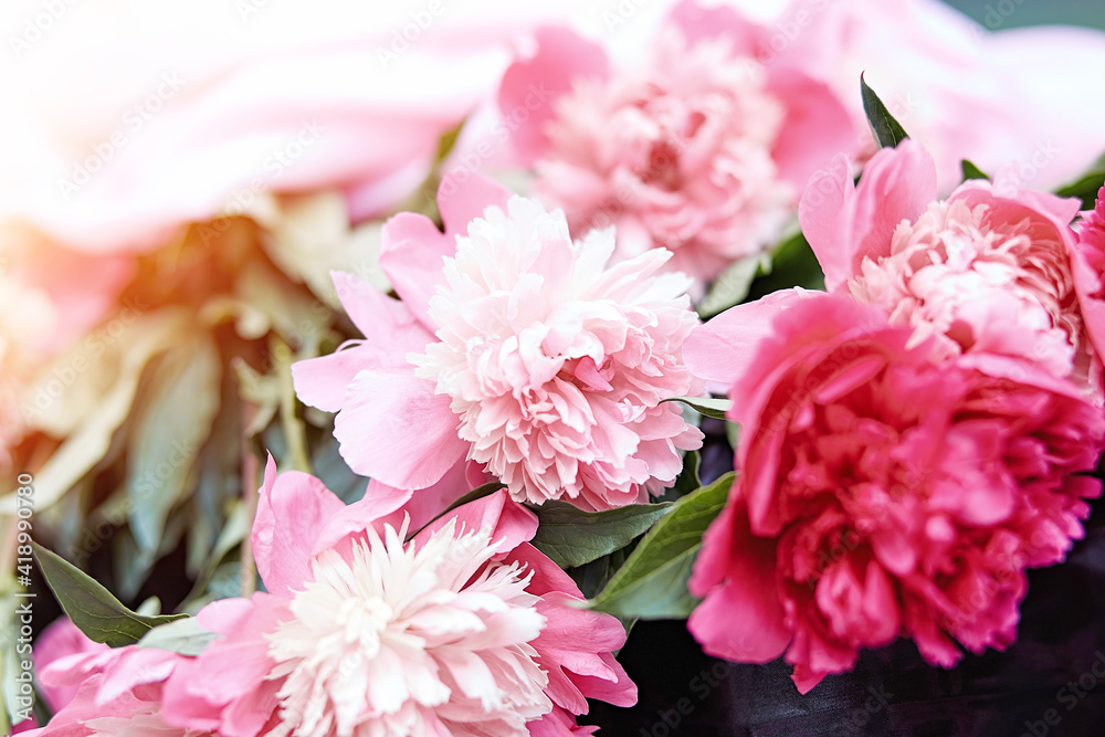 Delicate pink peonies bouquet background with copy space. Spring, summer bright concept on fresh green background Delicate pink peonies bouquet background with copy space. Spring, summer bright concept on fresh green background