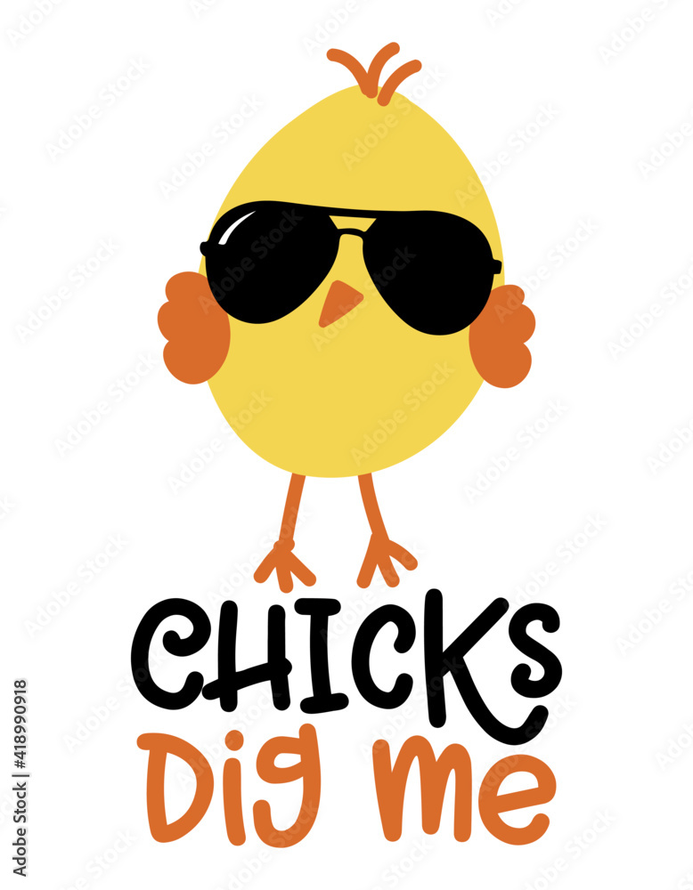Fototapeta premium Chicks dig me - Cute chick saying. Funny calligraphy for spring holiday or Easter egg hunt. Perfect for advertising, poster, announcement or greeting card. Beautiful little yellow cock