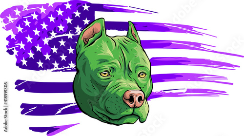 Head of pitbull with american flag vector illustration