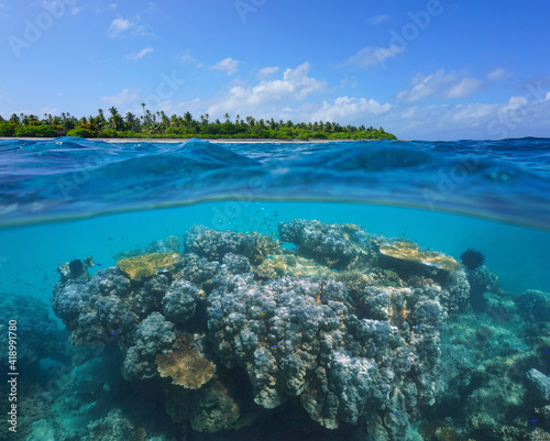 Coral reef and tropical island, seascape over and under water, Pacific ocean, Oceania