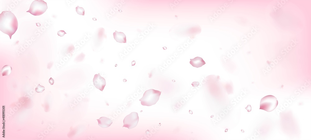 Cherry Sakura Petals Confetti. Windy Leaves Confetti Frame. Blooming