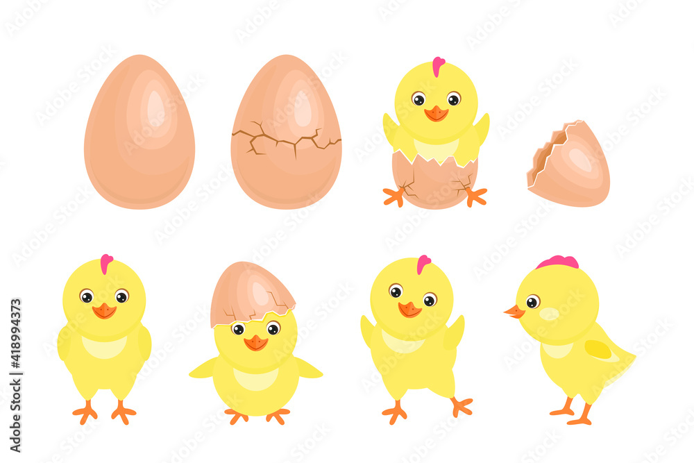 Cartoon chicken hatched from egg. Cracked chicken eggs with cute newborn  baby chick isolated. Funny little yellow bird in different poses. Vector  simple flat illustrations. Stock Vector | Adobe Stock