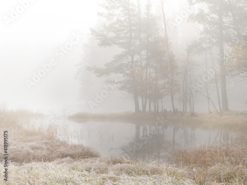 River landscape in autumn. Farnebofjarden national park in north of Sweden.