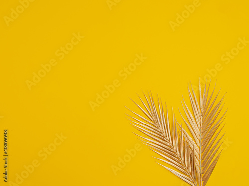 two tropical golden abstract leaves on summer sunny bright yellow background. minimal flat lay.