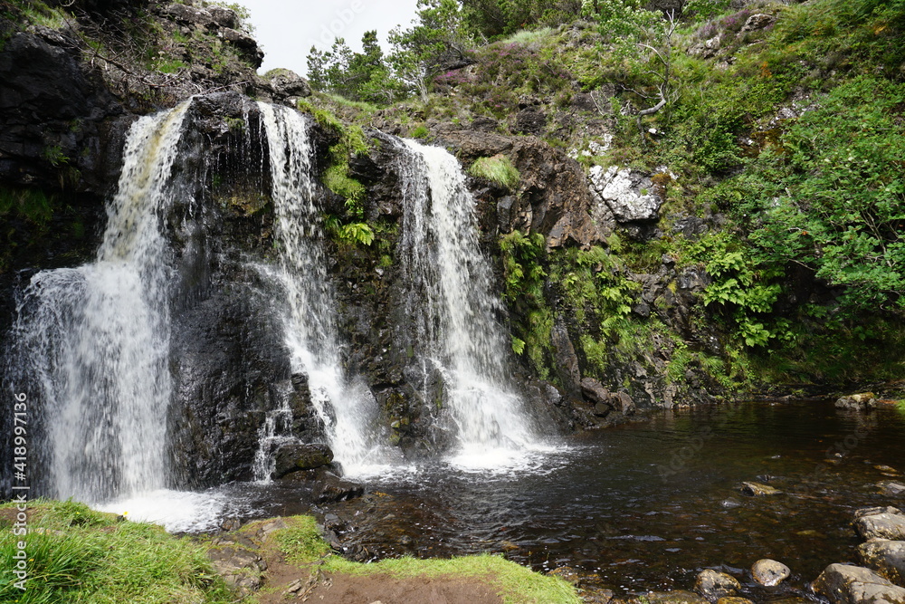 Fototapeta premium waterfall in the forest