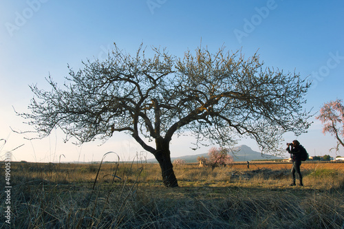fotógrafa en árbol © JOSERAMON