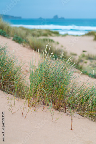 Valdearenas beach  Dunas de Liencres Natural Park  Cantabrian Sea  Pi  lagos Muicipality  Cantabria  Spain  Europe