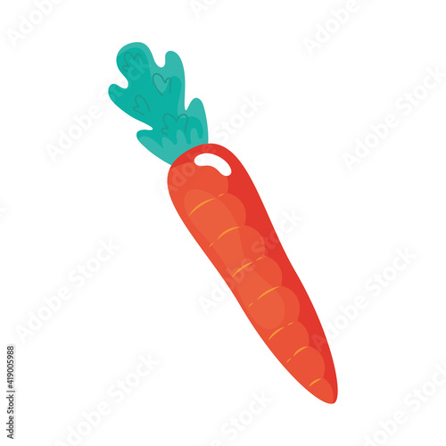 carrot fresh vegetable healthy food