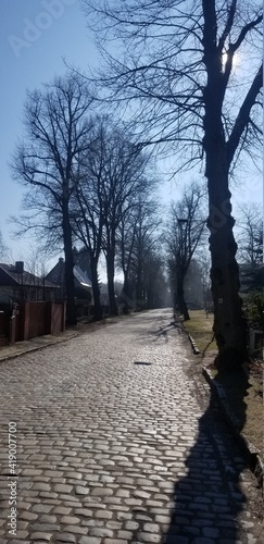 alley in the park