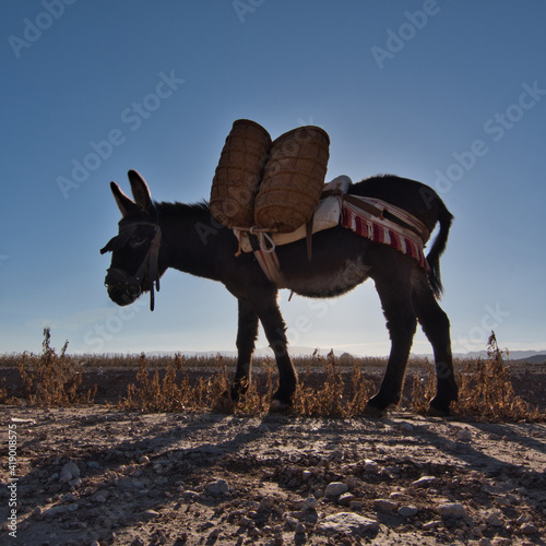 burro con alforjas