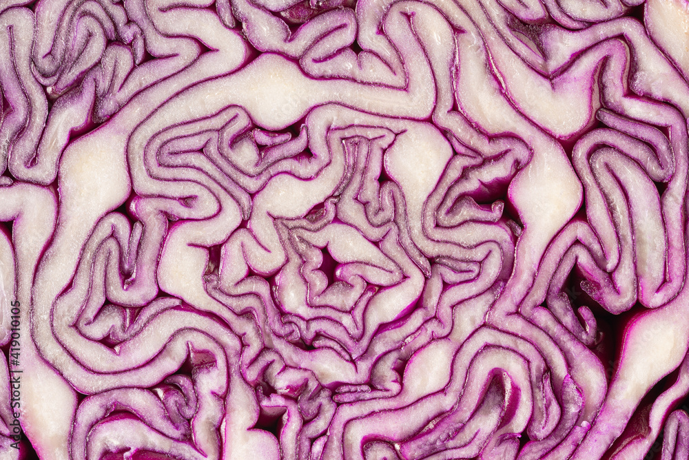 Red Cabbage textured background. Red cabbage pattern close-up. Macro photo Red Cabbage textured background. Red cabbage pattern close-up. Macro photo