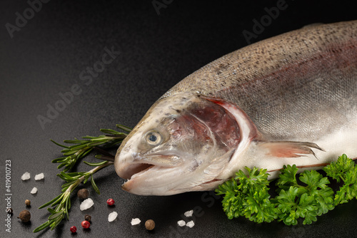 Fresh raw salmon red fish with spices, pepper, rosemary on dark background. Creative layout made of fish. Space for text