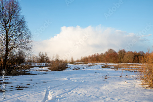 Road to the forest and melting snow.