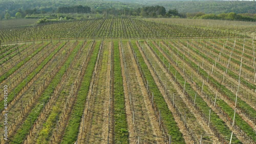 Le vignoble des hautes cotes de nuits vue par un drone Le vignoble des hautes cotes de nuits vue par un drone