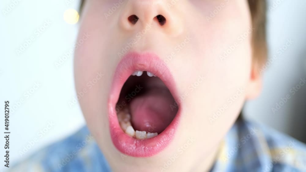 small child, kid performs articulation exercises for mouth, rolls the ...