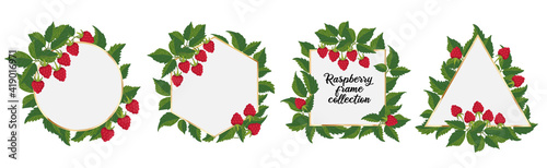 Raspberry frame. Set of golden frames with raspberry sprigs, berries, and leaves. Elements for design of congratulation, invitation, card, banner, wedding. Vector template Isolated on white background