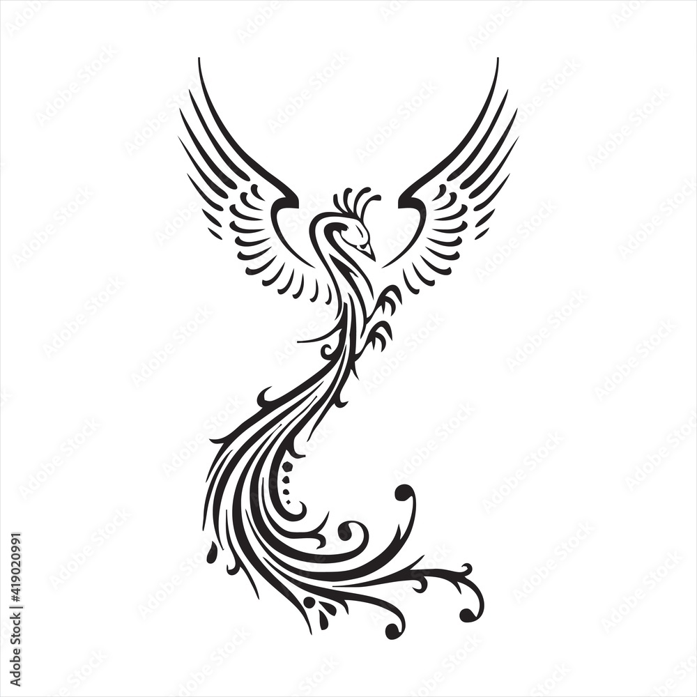 Peacock. Vector illustration. Isolated birds on white background.