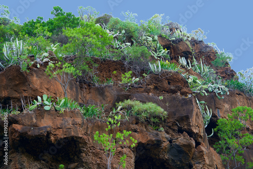 Green vegetation on a red-brown volcanic mountain
