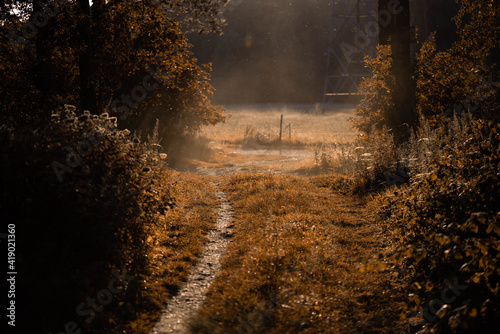 Feldweg_VolodymyrRussu