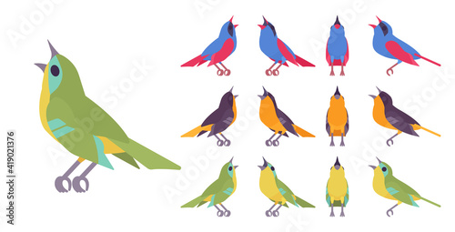 Songbird set, various singing little musical birds in beautiful colors. Wildlife study, ornithology, birdwatching. Vector flat style cartoon illustration isolated on white background, different views