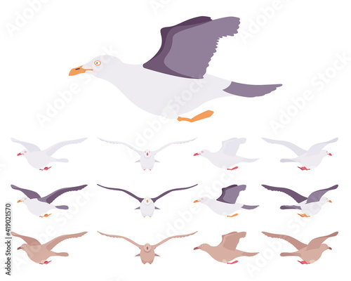 Gulls, seagulls wildlife seabirds in flight motion. Wildlife study, ornithology and birdwatching concept. Vector flat style cartoon illustration isolated on white background, different views