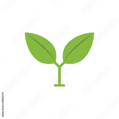 Plant and leaves icon. Leaf symbol of ecology, enviroment and nature. Vegetarian and vegan pictogram design.