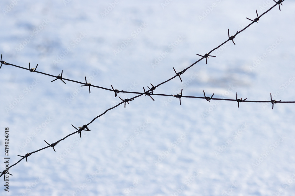 Old barbed wire on a background of snow. Barbed wire closeup. Shallow depth of field. Siberia, Russia. Old barbed wire on a background of snow. Barbed wire closeup. Shallow depth of field. Siberia, Russia.