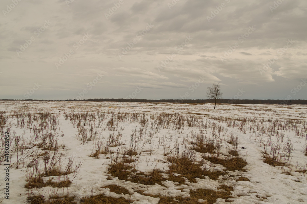 Elk Island on a Cloudy Day Elk Island on a Cloudy Day