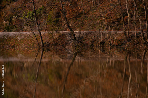 Reflections of trees in a lake in Croatia