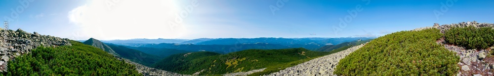 beautiful panorama with alpine pine and mountains under blue sky