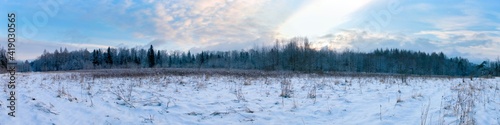 Panorama of winter forest and blue beautiful sky