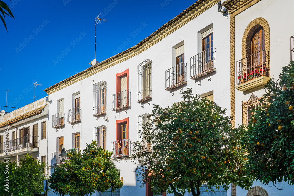 White facades and trees of the San Basilio neighborhood in Cordoba historic center (Andalusia, Spain)