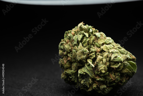 Photos close up portrait of Amnesia Cannabis Marijuana Dry Buds