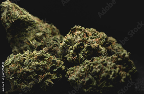 Konstfotografi close up portrait of Amnesia Cannabis Marijuana Dry Buds