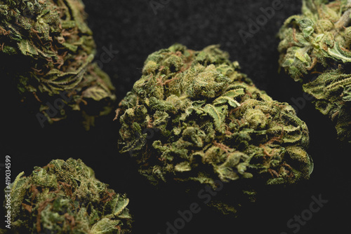 close up portrait of Amnesia Cannabis Marijuana Dry Buds