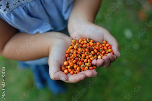 girl holding a handful of berries