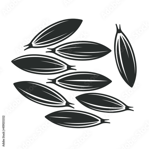 collection of cumin illustrations, vector art. photo