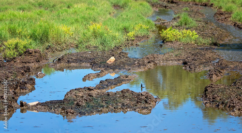 Muddy Vehicle Tracks